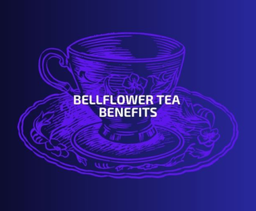 Bellflower tea benefits