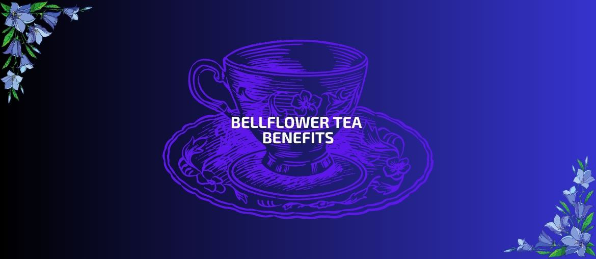 Bellflower tea benefits