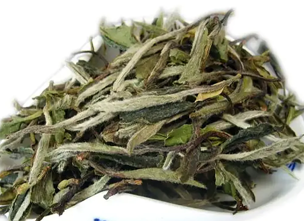 Bai Mu Dan White Tea