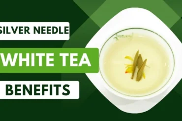 Benefits Of Silver Needle White Tea