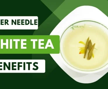 Benefits Of Silver Needle White Tea