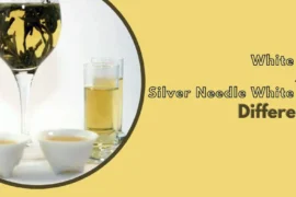 Difference between white tea and Silver Needle white tea