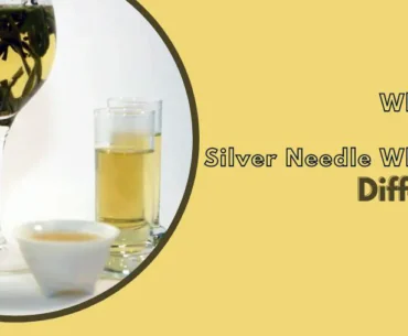 Difference between white tea and Silver Needle white tea
