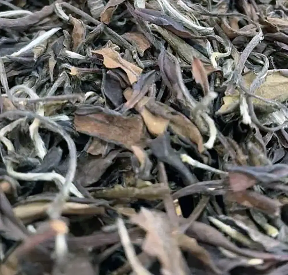 Gong Mei White Tea