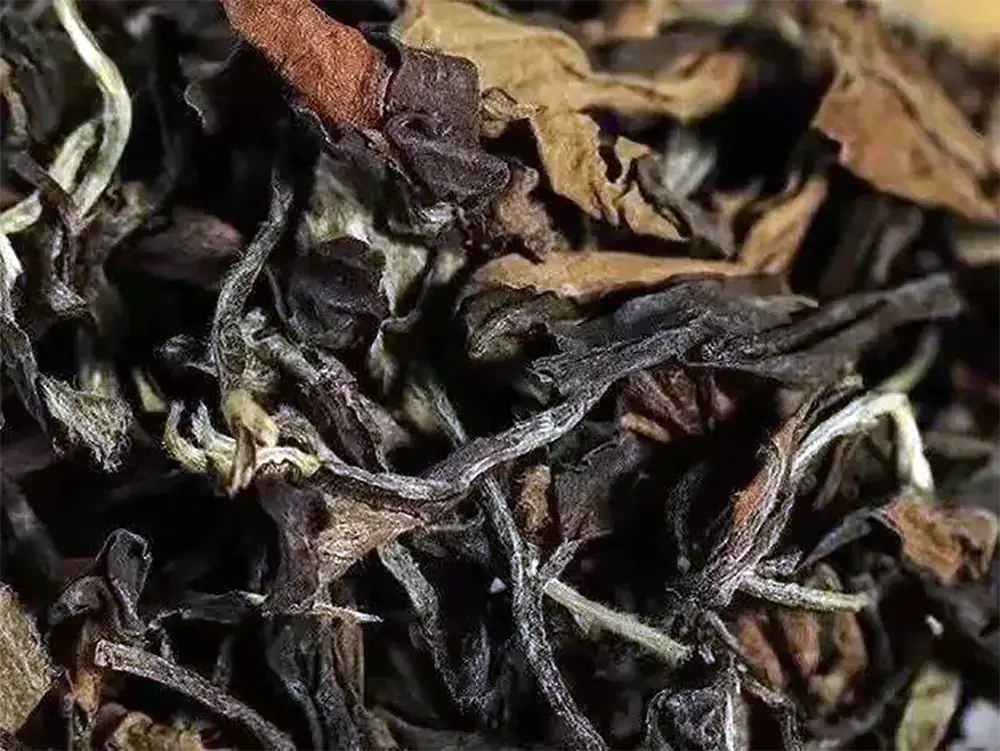 New Craft White Tea