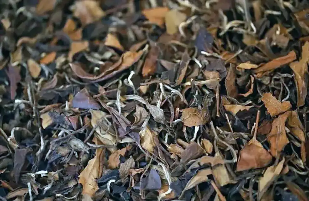 Shou Mei White Tea