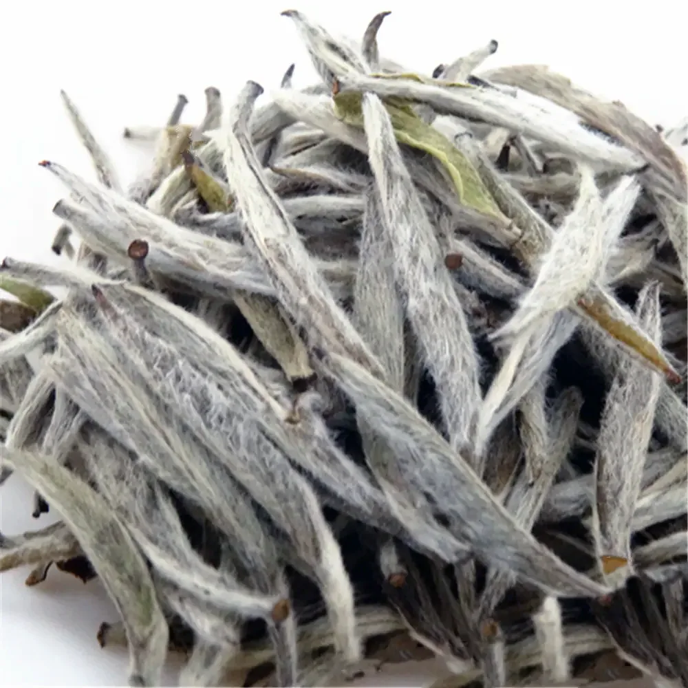 Silver Needle White Tea