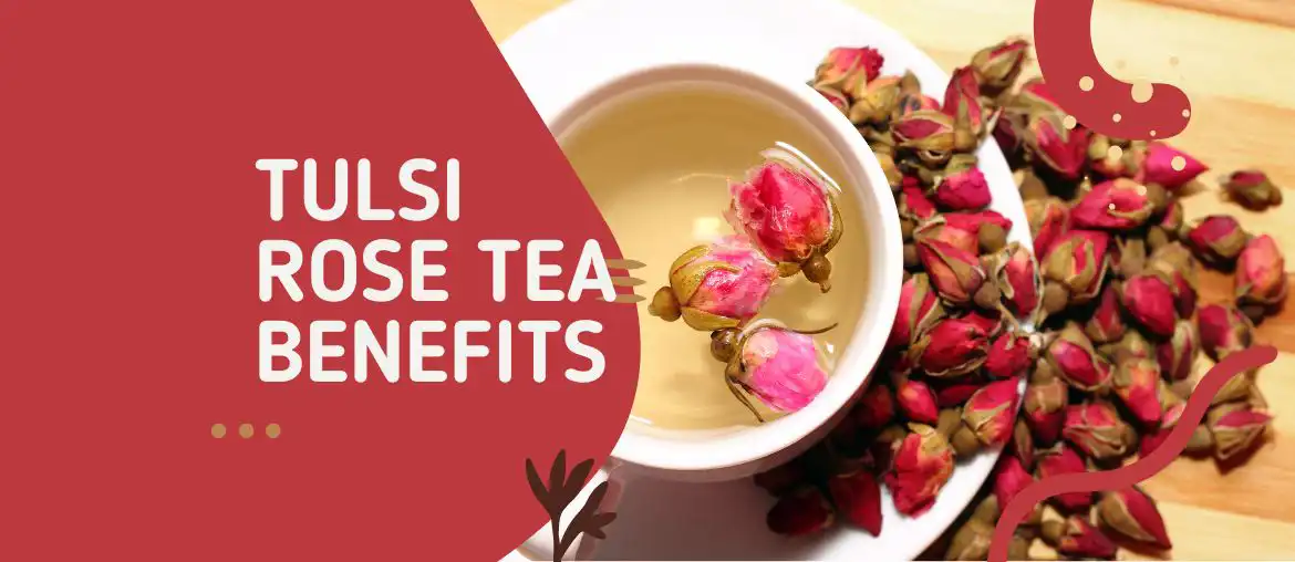 Tulsi rose tea benefits
