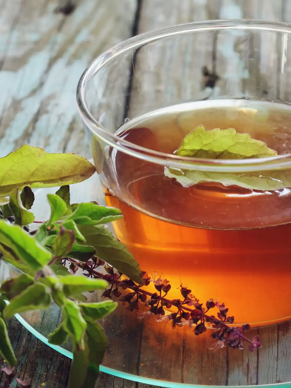 Tulsi tea cup and leaves