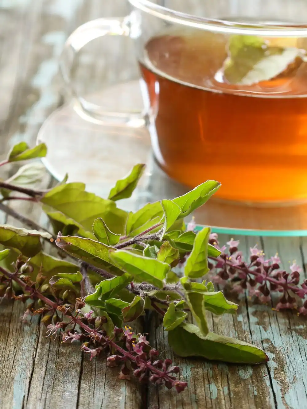 Tulsi rose tea cup and leaves