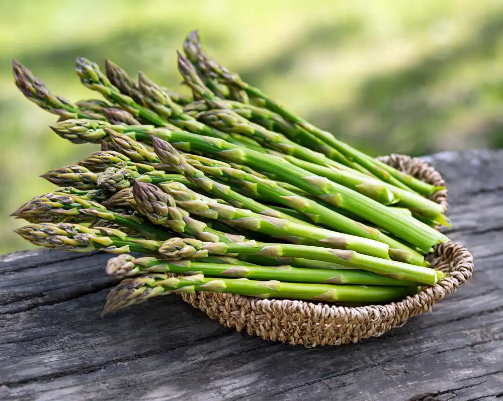 Asparagus