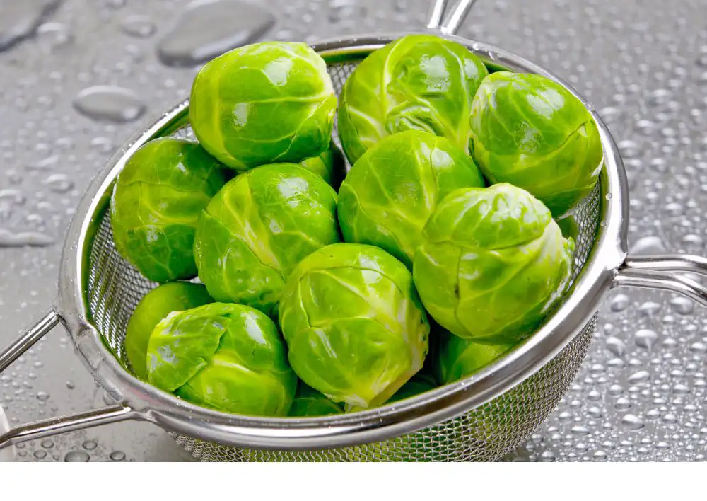 Brussels Sprouts