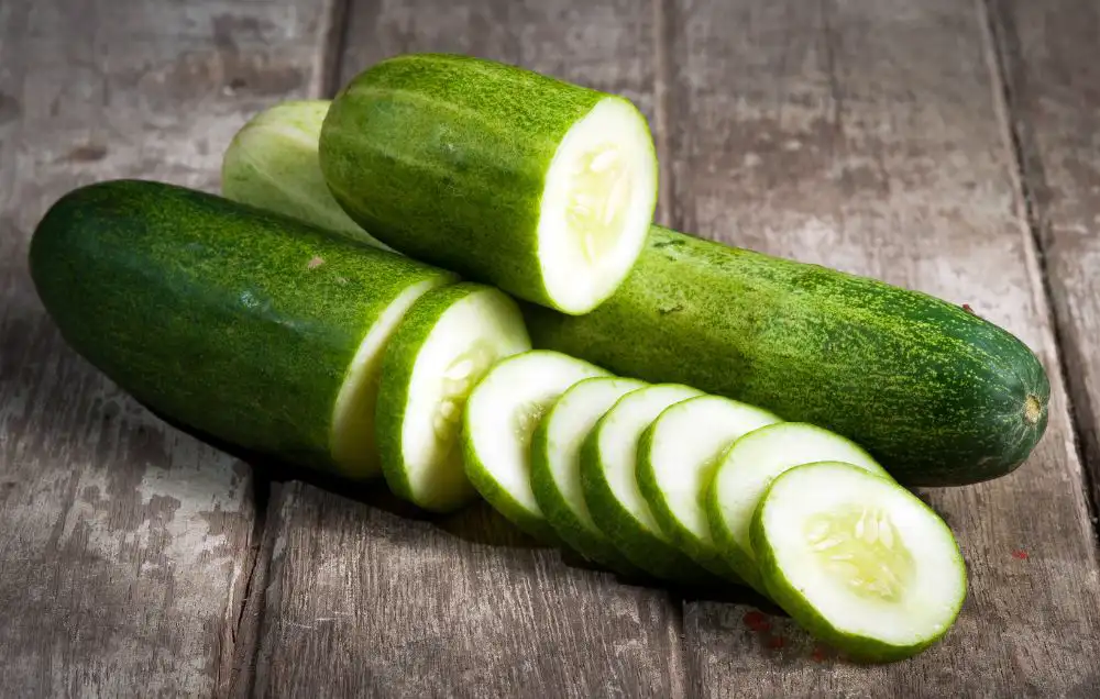 Cucumber