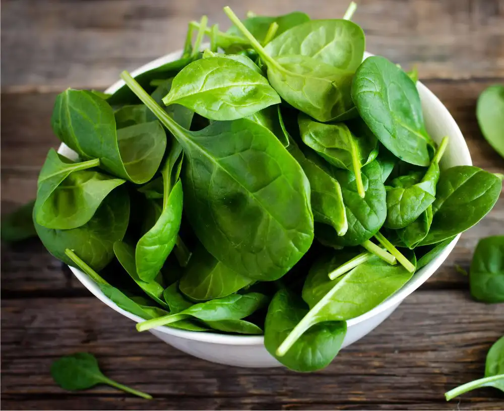 11 Low Carb High Fiber Vegetables That You Can't Ignore 4 Spinach