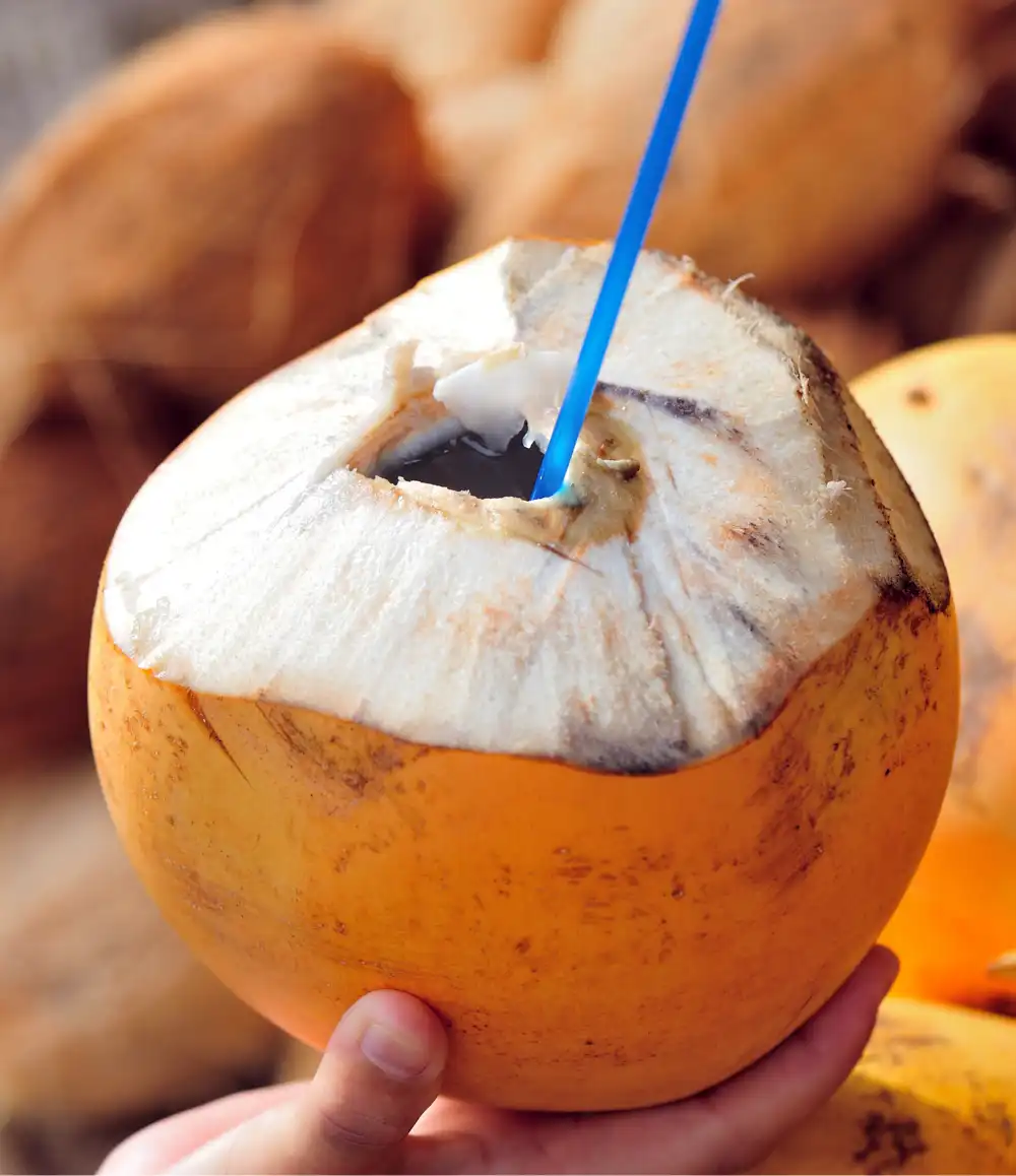 king coconut for drinking